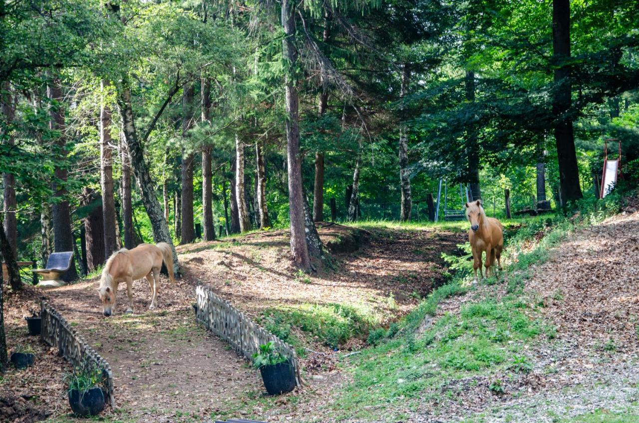 Bellosta Family Country Club Mb Alpe Moiana Armeno Dış mekan fotoğraf